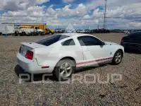 2008 Ford MUSTANG photo