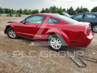 2008 Ford MUSTANG фото