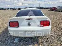 2008 Ford MUSTANG photo