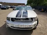 2008 Ford MUSTANG photo