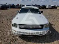 2008 Ford MUSTANG photo