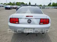 2008 Ford MUSTANG фото