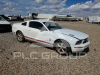 2008 Ford MUSTANG photo