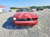 2008 Ford MUSTANG фото
