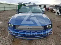 2008 Ford MUSTANG фото