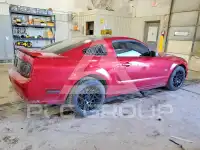 2008 Ford MUSTANG фото