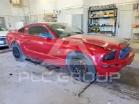 2008 Ford MUSTANG фото
