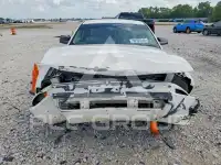 2008 Ford MUSTANG photo