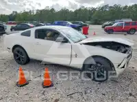 2008 Ford MUSTANG photo