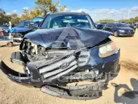 2008 Hyundai Santa Fe photo