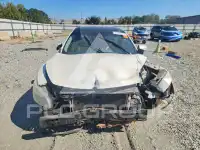2009 Nissan MAXIMA photo