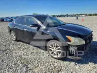 2009 Nissan MAXIMA фото