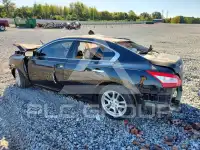 2009 Nissan MAXIMA фото