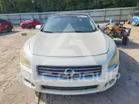 2009 Nissan MAXIMA photo