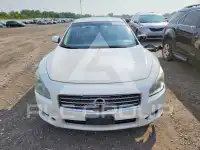 2009 Nissan MAXIMA photo