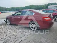 2009 Nissan MAXIMA photo