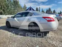 2009 Nissan MAXIMA фото