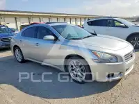 2009 Nissan MAXIMA фото