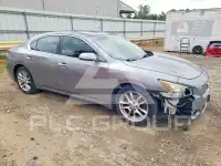 2009 Nissan MAXIMA photo