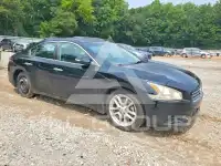 2009 Nissan MAXIMA photo