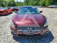 2009 Nissan MAXIMA фото