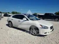 2009 Nissan MAXIMA photo