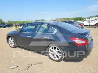 2009 Nissan MAXIMA фото