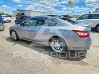 2009 Nissan MAXIMA photo