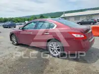 2009 Nissan MAXIMA фото