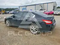 2009 Nissan MAXIMA фото