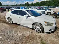 2009 Nissan MAXIMA photo