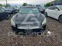 2009 Nissan MAXIMA photo