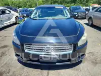 2009 Nissan MAXIMA фото