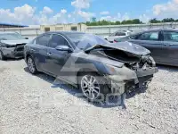 2009 Nissan MAXIMA фото
