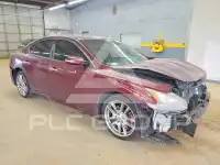 2009 Nissan MAXIMA photo