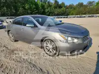 2009 Nissan MAXIMA photo