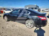 2009 Nissan MAXIMA photo