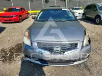 2009 Nissan ALTIMA фото