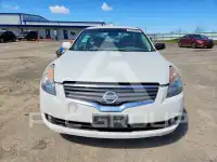 2009 Nissan ALTIMA фото