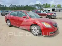 2009 Nissan ALTIMA фото