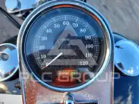 2009 Harley-Davidson FXSTC photo