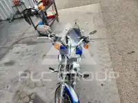2009 Harley-Davidson Sportster120 фото