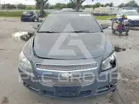 2009 Chevrolet Malibu фото