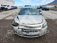 2009 Chevrolet Malibu фото