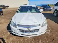 2009 Chevrolet Malibu фото