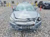 2009 Chevrolet Malibu фото