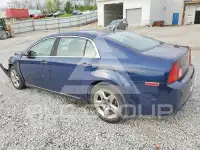 2009 Chevrolet Malibu фото