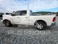 2009 Dodge RAM photo