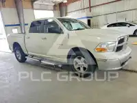 2009 Dodge RAM photo