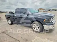 2009 Dodge RAM фото